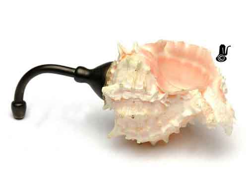 image link to details of ear trumpet