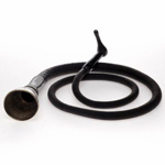 overall view of ear trumpet