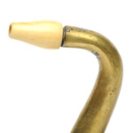 earpiece view of ear trumpet