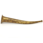 overall view of ear trumpet