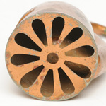 horn view of ear trumpet