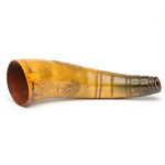 overall view of ear trumpet