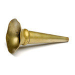 overall view of ear trumpet