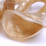 horn view of ear trumpet