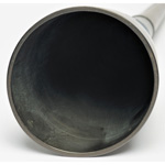 horn view of ear trumpet