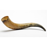 overall view of ear trumpet