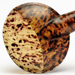 horn view of ear trumpet