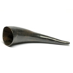 overall view of ear trumpet