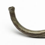 earpiece view of ear trumpet