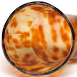 horn view of ear trumpet
