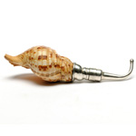 overall view of ear trumpet