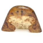 earpiece view of ear trumpet
