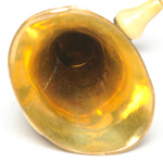 horn view of ear trumpet