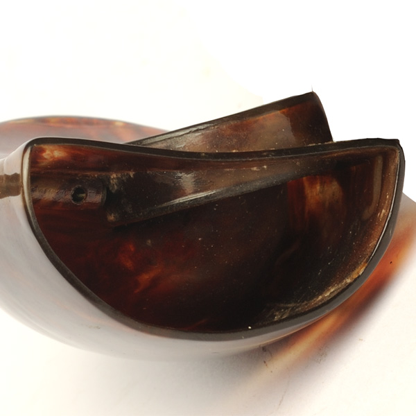 picture shows auricle ear trumpet @ EarTrumpets.com