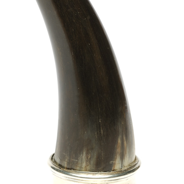 picture shows one piece ear trumpet @ EarTrumpets.com