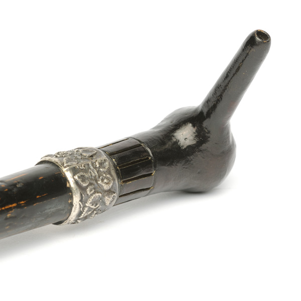 picture shows walking stick ear trumpet @ EarTrumpets.com