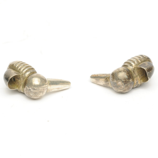 picture shows ear tube ear trumpet @ EarTrumpets.com