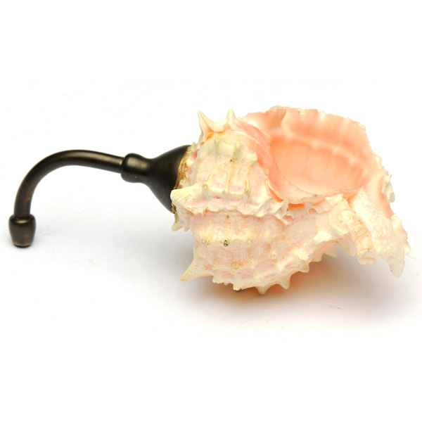 picture shows one piece ear trumpet @ EarTrumpets.com