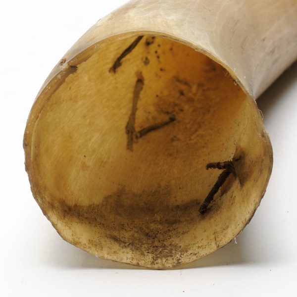 picture shows one piece ear trumpet @ EarTrumpets.com