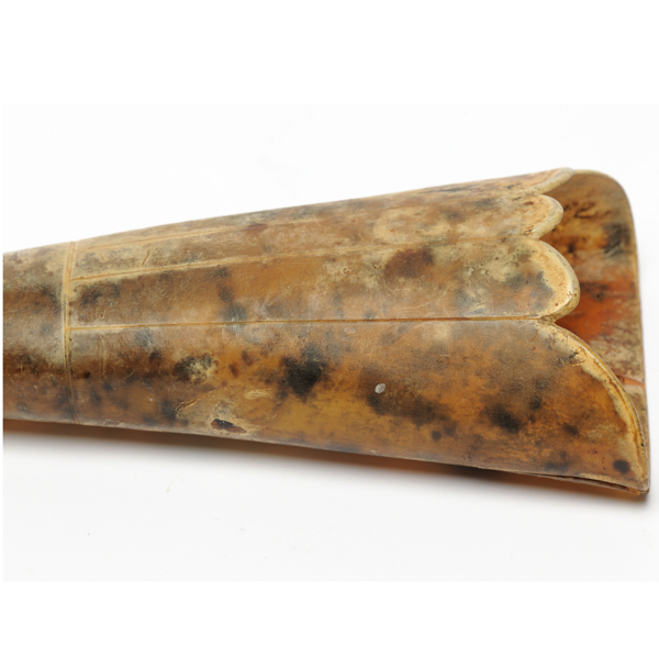 picture shows tragus ear trumpet @ EarTrumpets.com