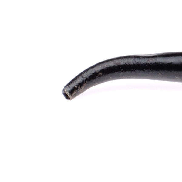 picture shows miss greene ear trumpet @ EarTrumpets.com